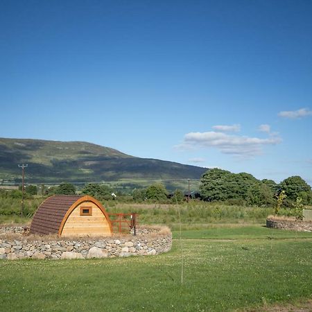 Hôtel Bluebell Lane Glamping à Newry Extérieur photo