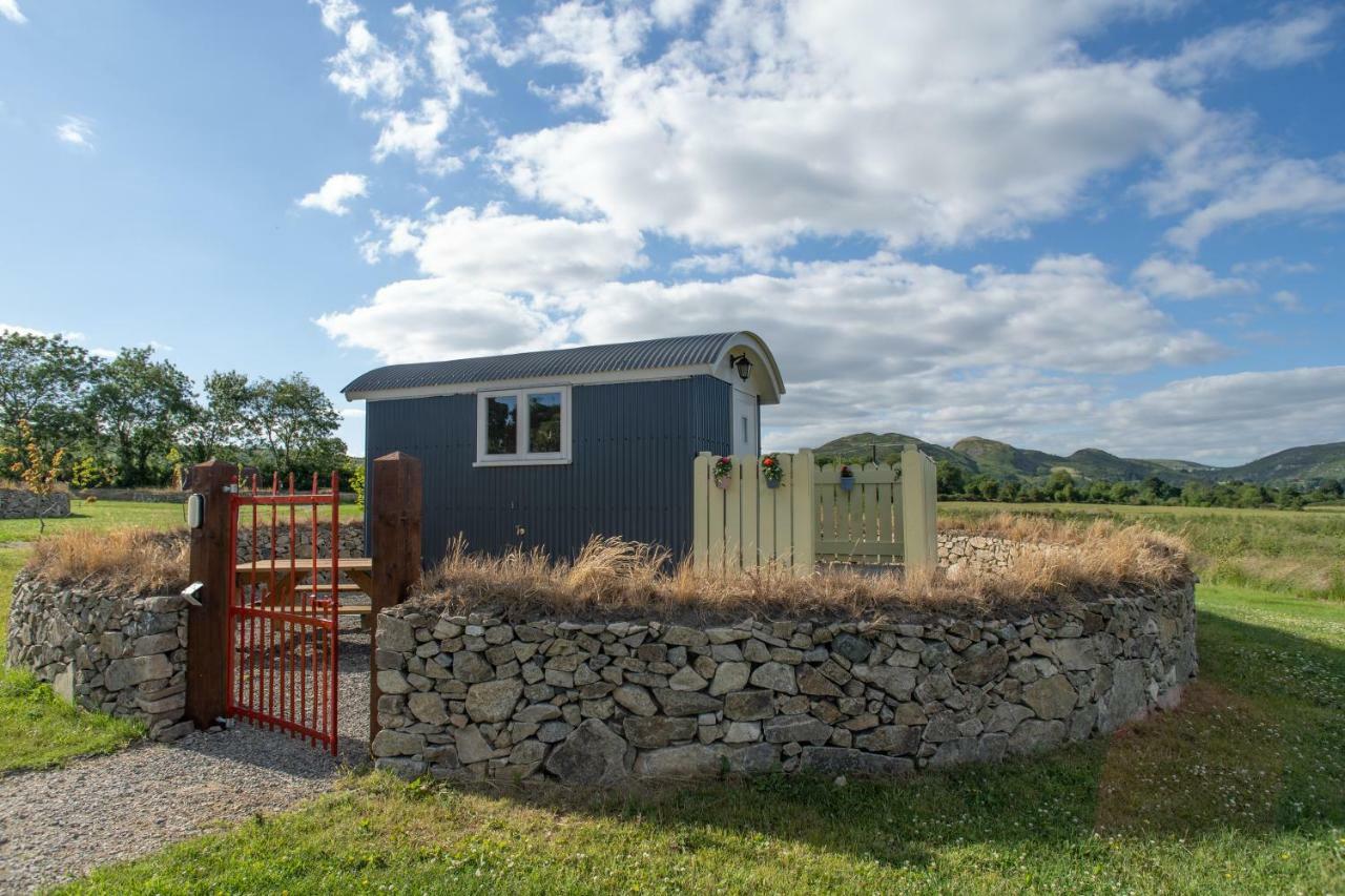 Hôtel Bluebell Lane Glamping à Newry Extérieur photo