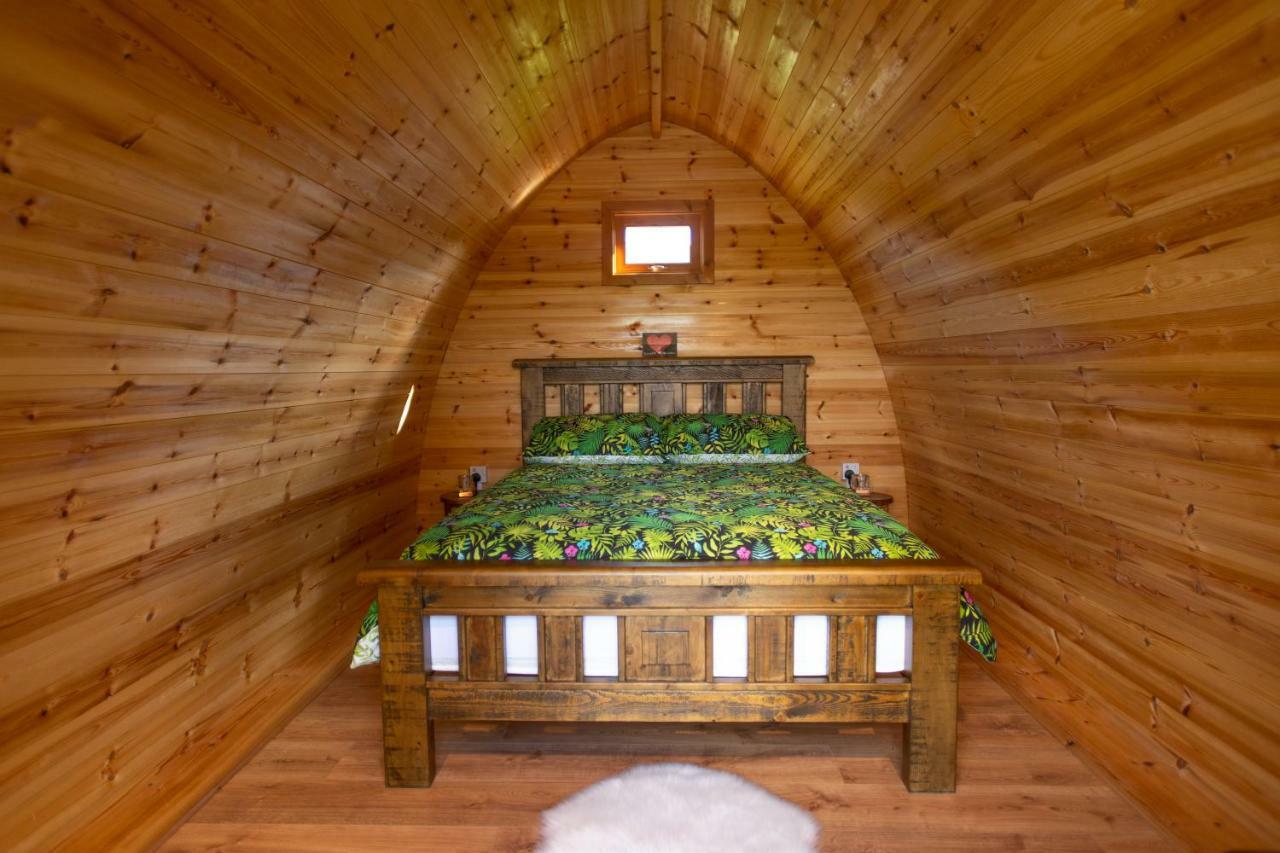 Hôtel Bluebell Lane Glamping à Newry Extérieur photo