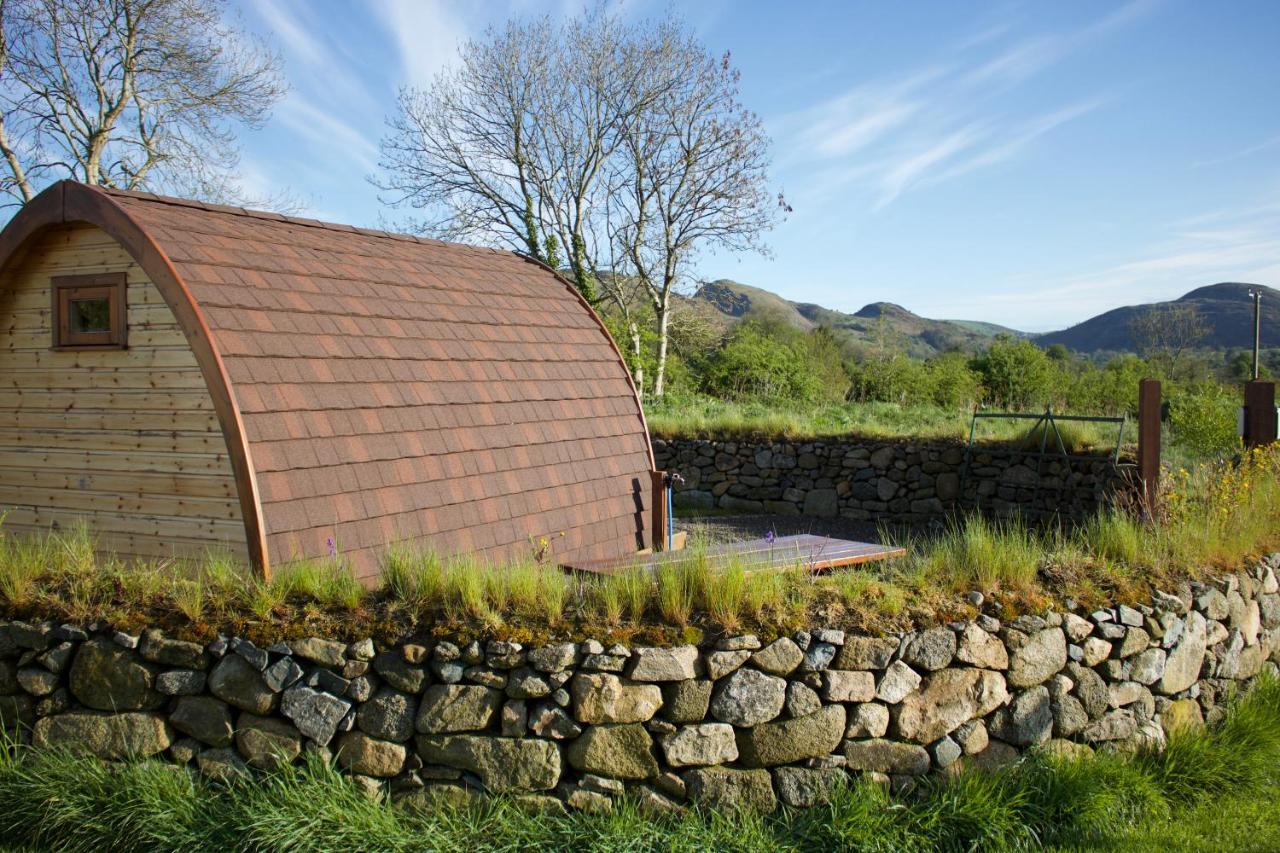 Hôtel Bluebell Lane Glamping à Newry Extérieur photo