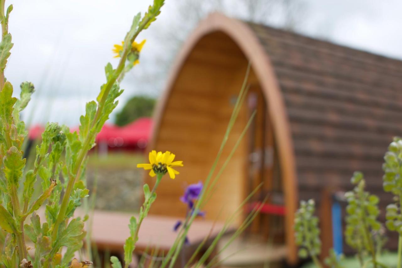 Hôtel Bluebell Lane Glamping à Newry Extérieur photo